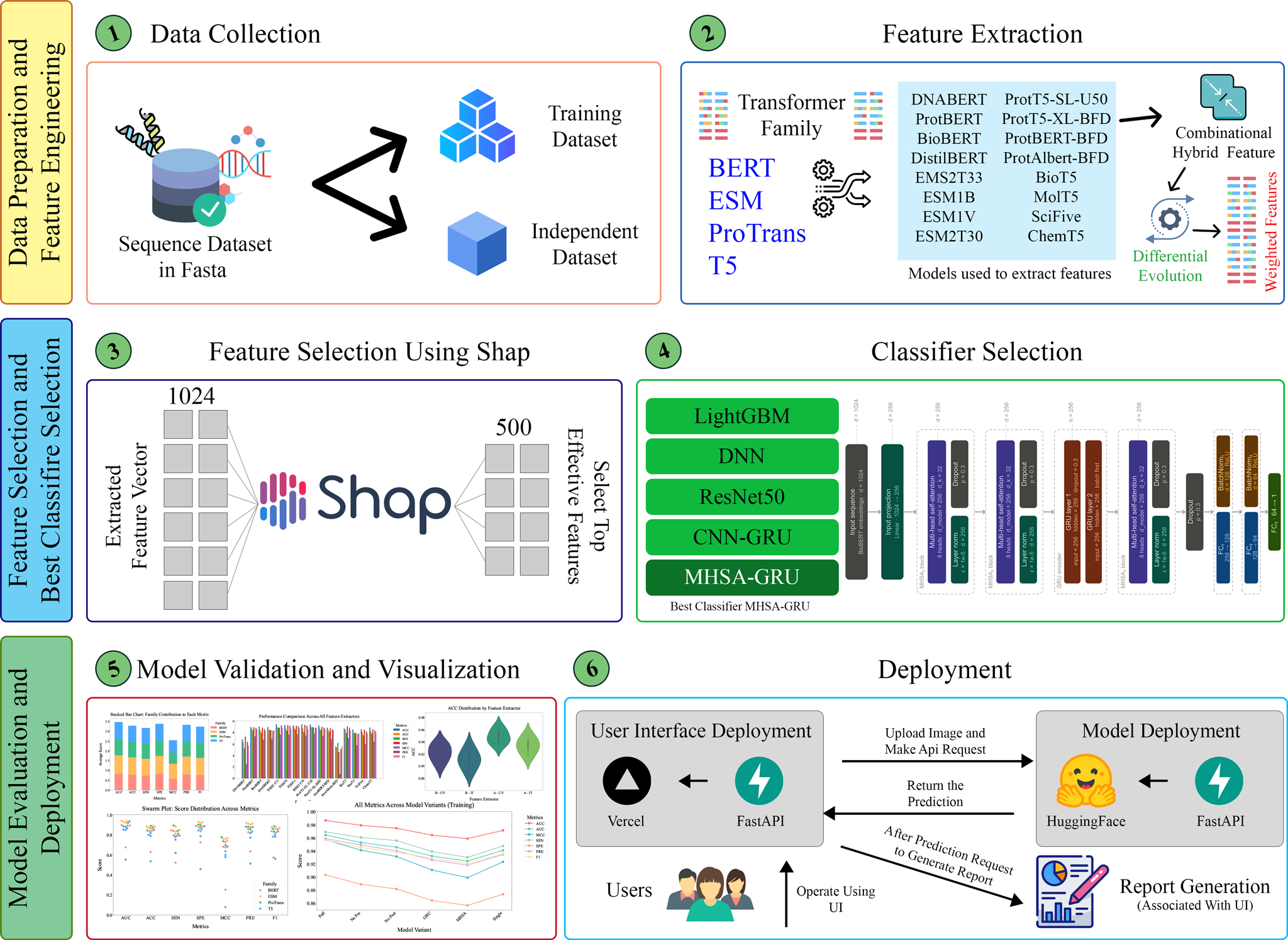 Multi-Transformer DE-Fused MHSA-GRU for Toxicity Prediction Workflow